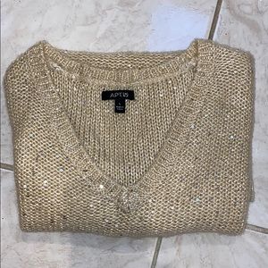 Champagne glitter V-Neck Sweater